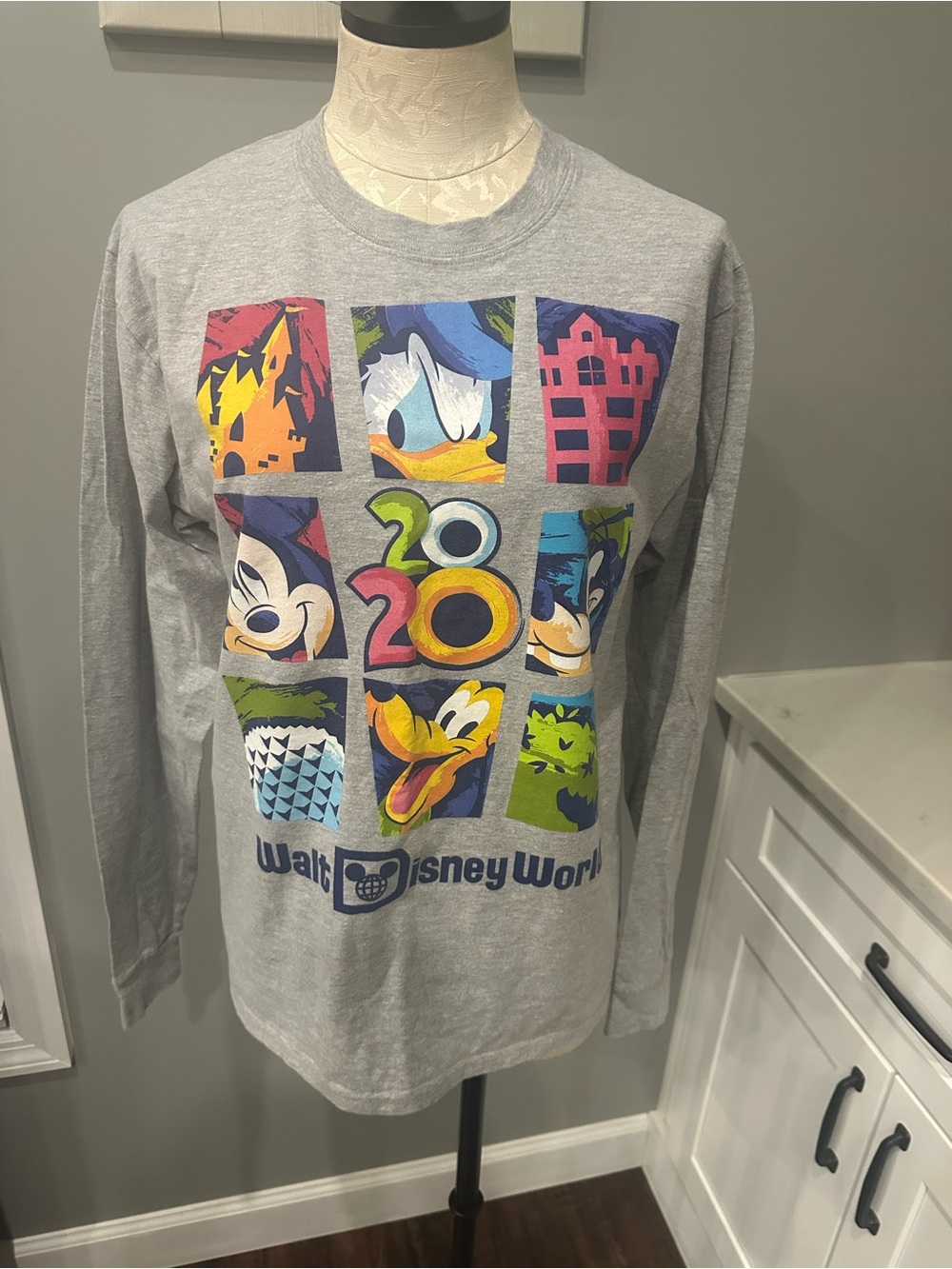 Hanes Gray Walt Disney World 2020 Character Long-Sleeve Tee